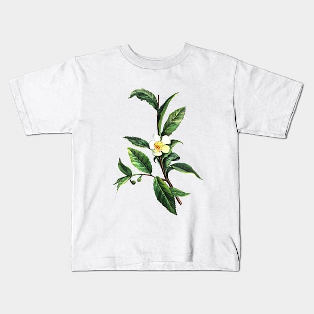 Watercolor Sketch Green Tea Kids T-Shirt by AnnaY 